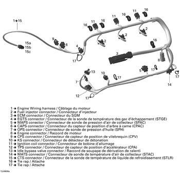 420665205 Sea-Doo Wiring Harness Assembly - AdeptPowersports 2006 Seadoo Gtx Wiring Diagram AdeptPowersports.com